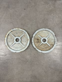 35lb Weight Plates