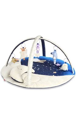 Skip Hop Play Gym