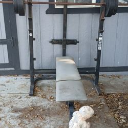 Weights And Weight Bench 