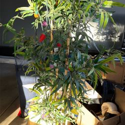 Artificial Plant With Lights