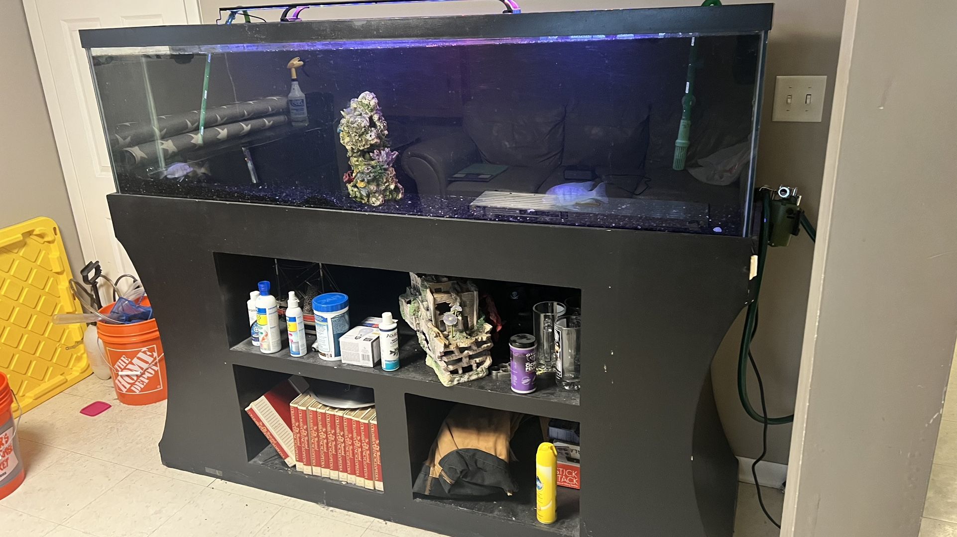 6ft 100gallons Fish Tank For Sale 