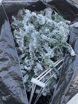 Pre Let Christmas Tree
