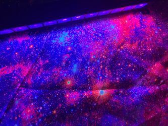 Glow in the Dark / Black Light Room Transformation Kit