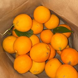 Fresh Oranges Organic