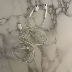 Apple Earphones