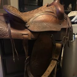 Bronco ‘All Round’