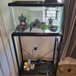 Complete 10 Gallon Japanese Zen Betta Tank | Everything Included | Like New