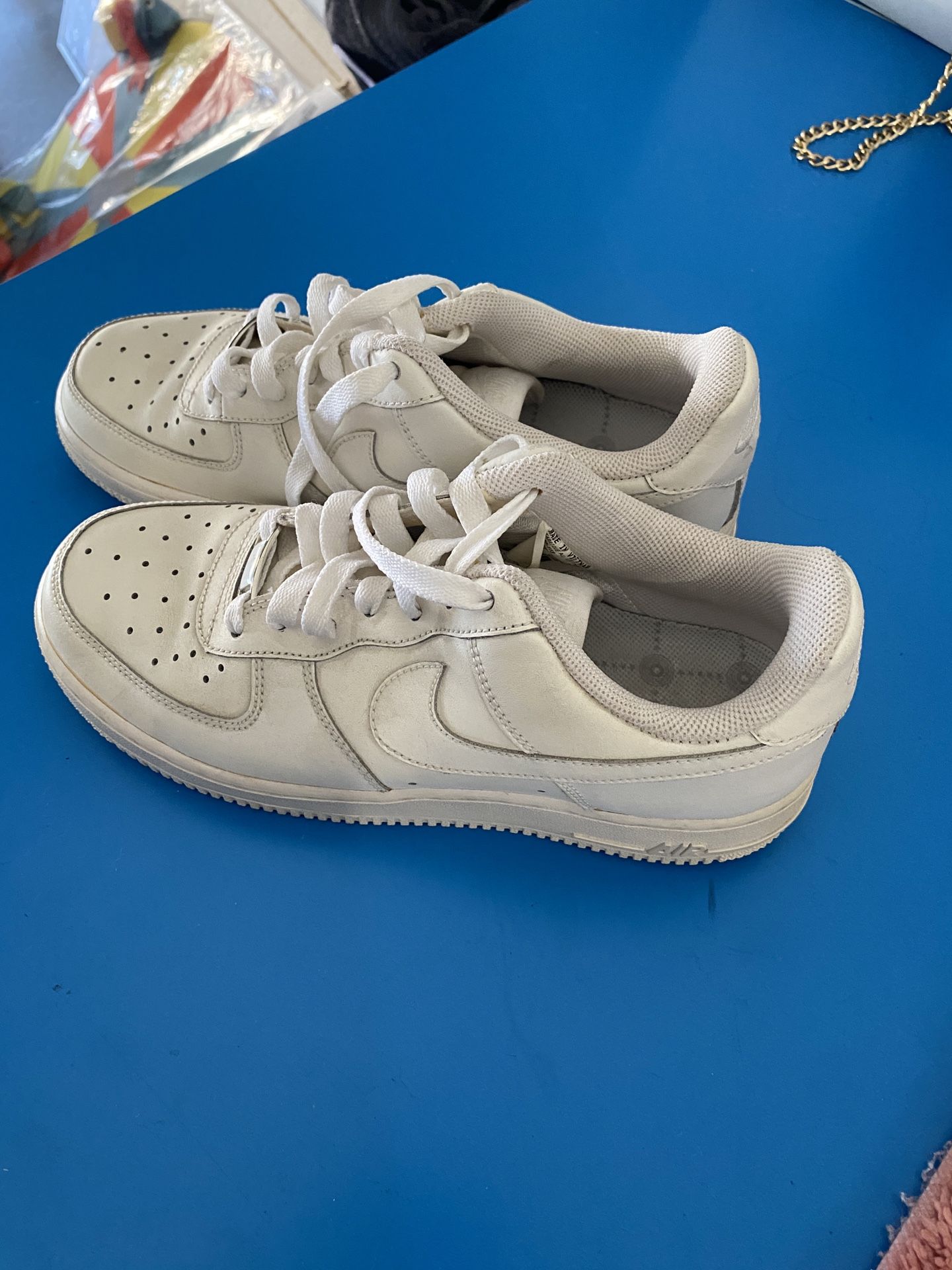 Paul Rodriguez Autographed Nike Air Size 6.5 