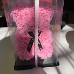 A Light Up Teddy Bear