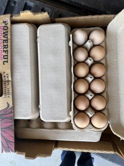 FRESH NATURAL RANCH EGGS