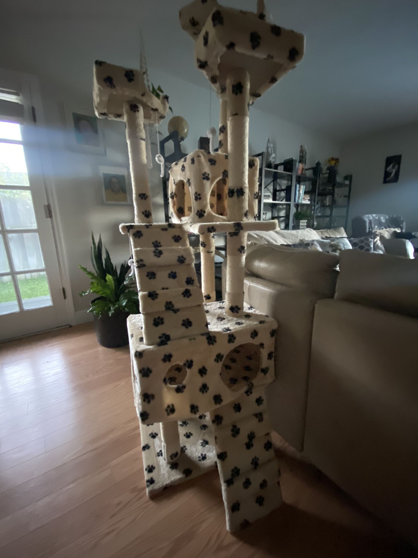 Cat Tree (Barely Used)