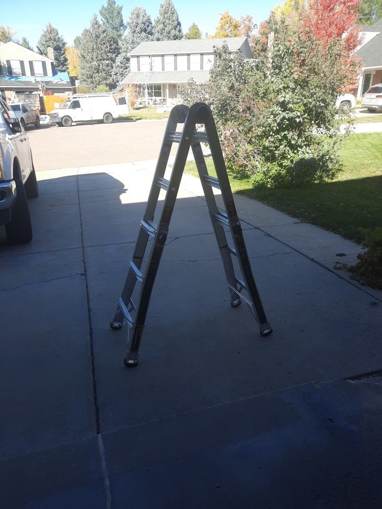 Multi-position Ladder