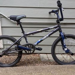 Sims torch hot sale bmx bike