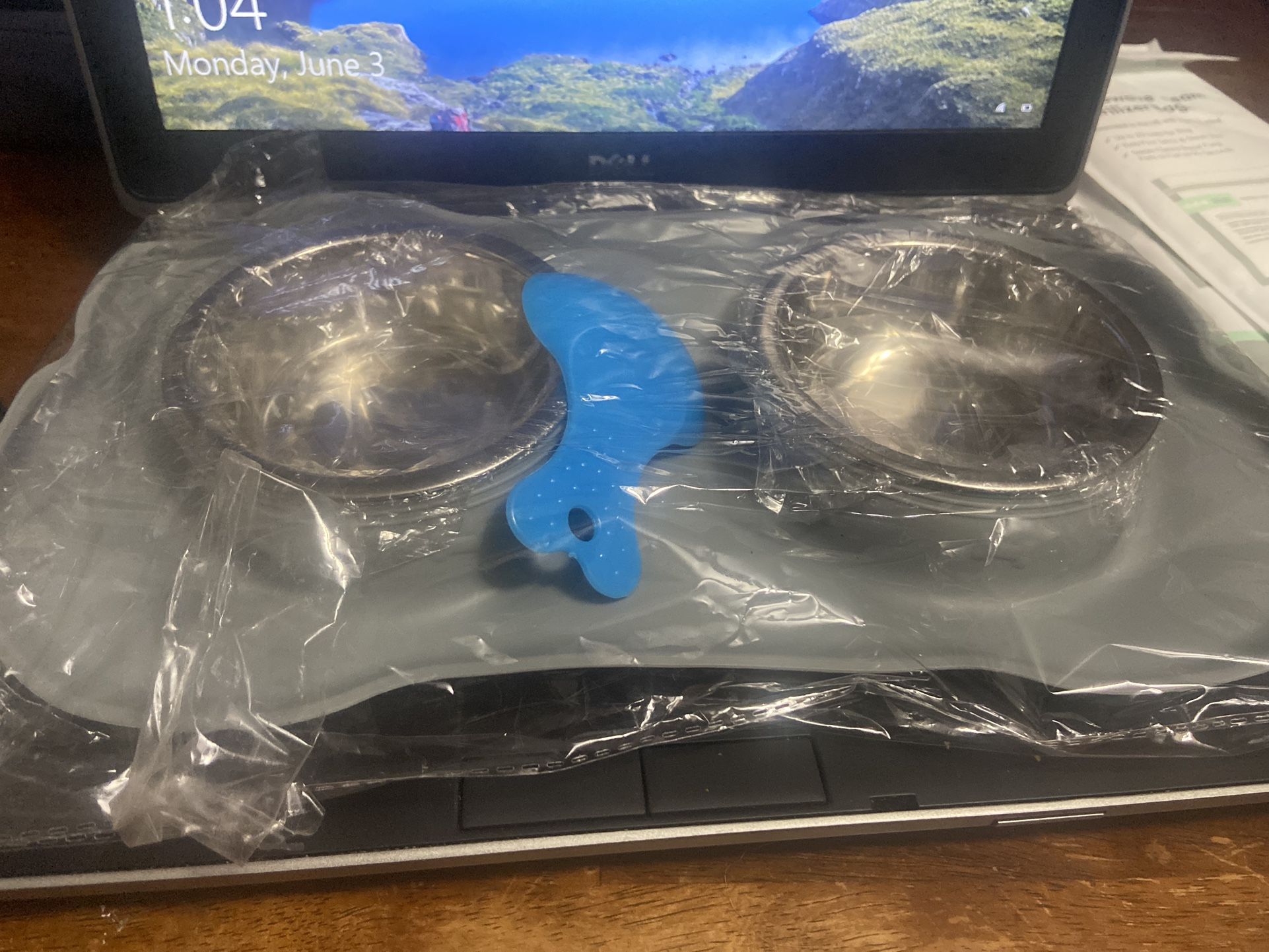 No spill Stainless steel pet Bowl