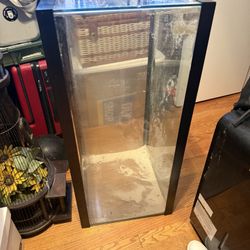 40 gallon breeder tank