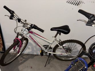 Roadmaster Mountain Bike