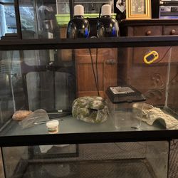 30 gallon reptile tank and accessories