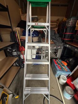 Werner 356 Six-Foot Ladder
