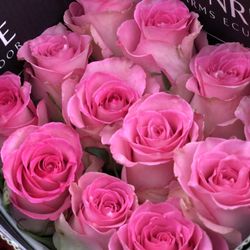 Valentines