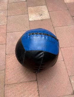Dynamax slam ball