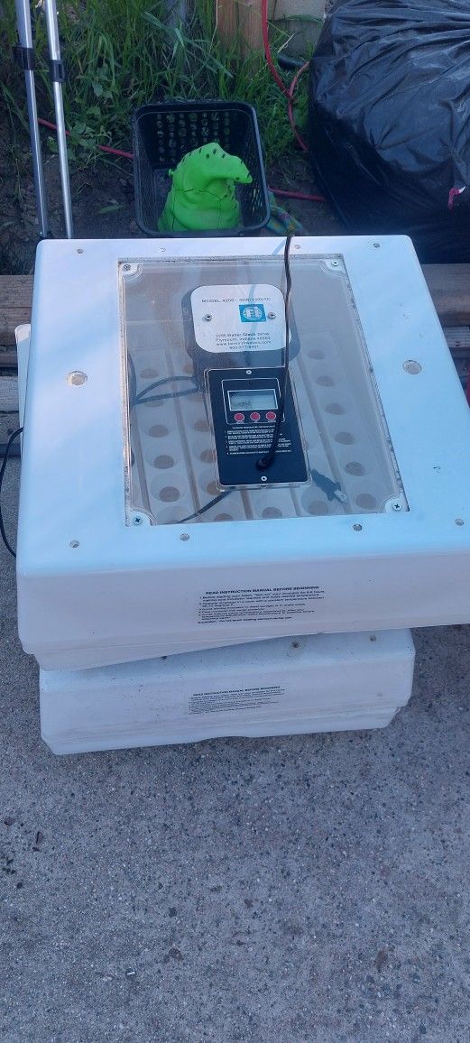Egg Incubator