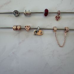 Pandora Charms 