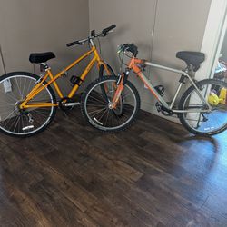 2 Mountain bikes. Great condition