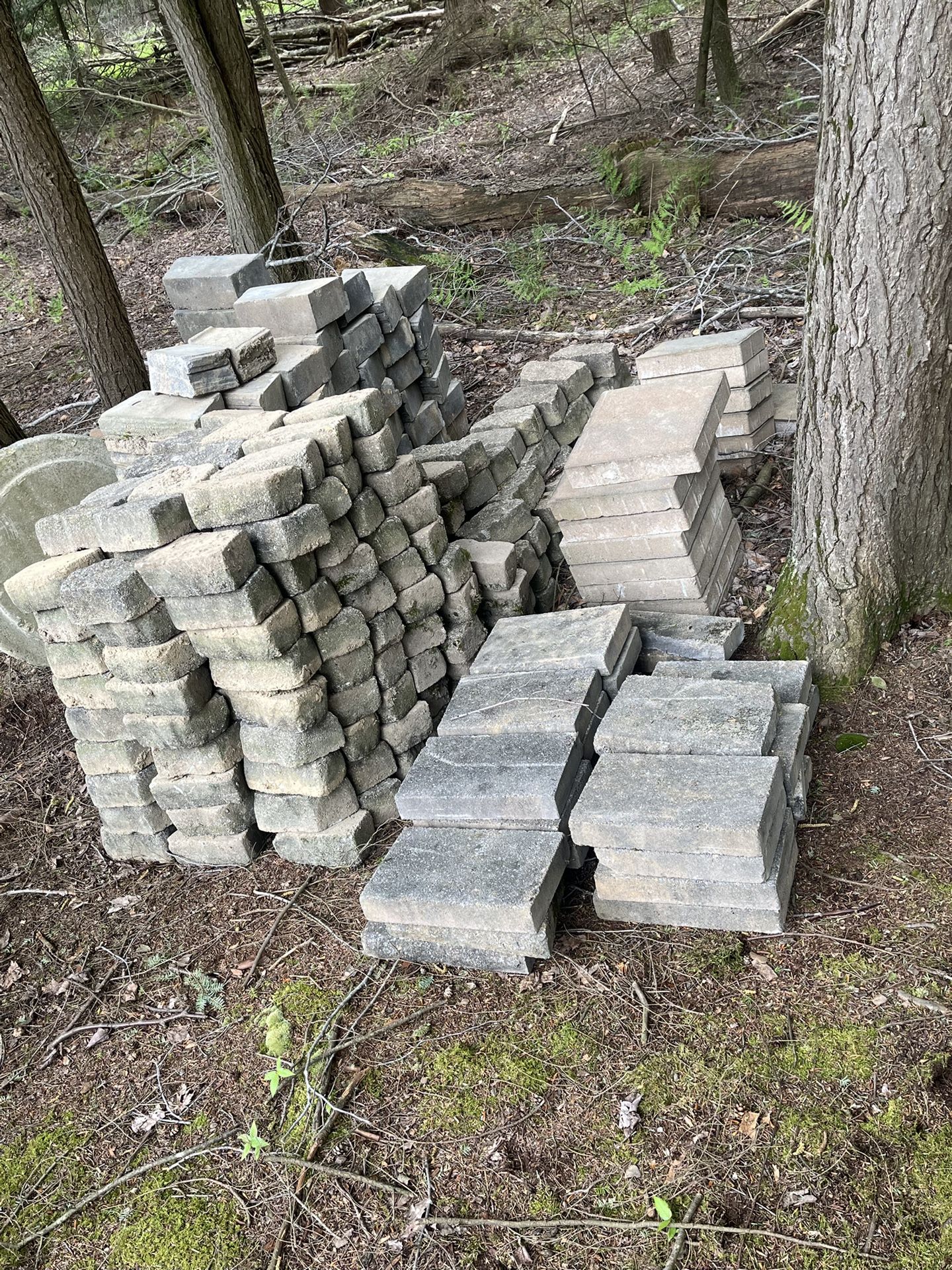 Wall, Border And Stepping Stones
