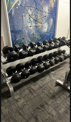 Rack De Pesas Dumbbells