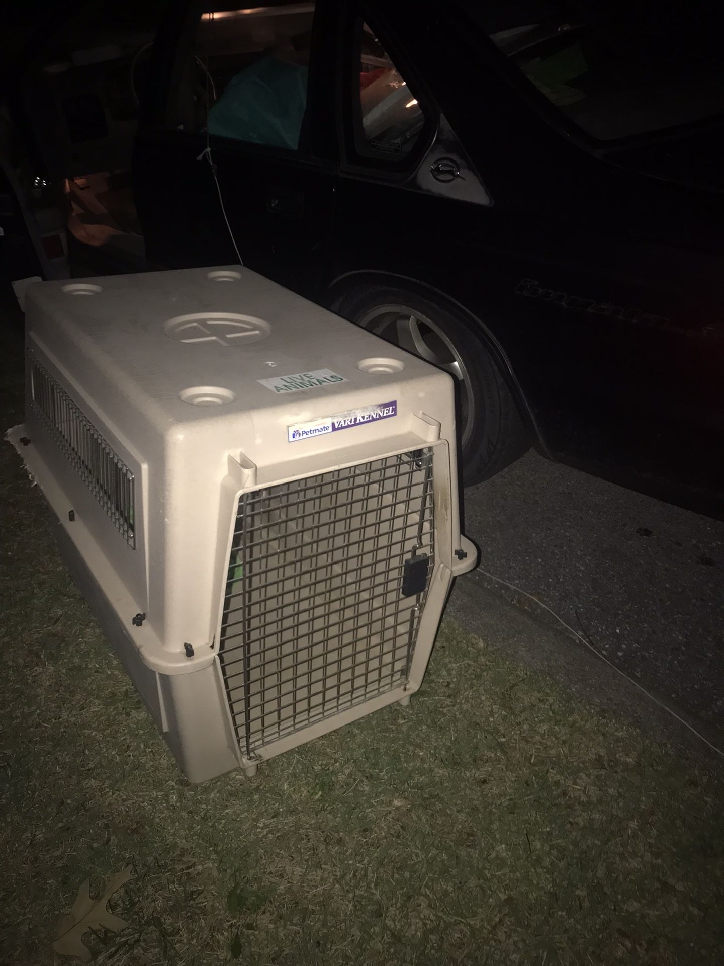 Extra-Large Dog Kennel Nice Chew Bite On The Corner Outside But Still In Great Shape Only $50 Firm
