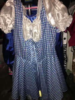 free Dorothy Costume size is 12-14
