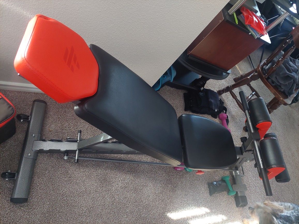Weight Bench With Bicep Press