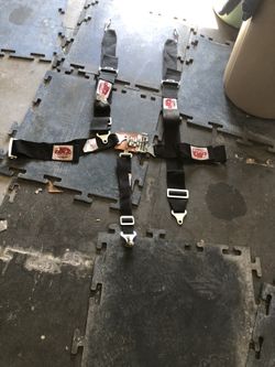 seat belt
