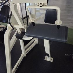 Cybex Triceps Extension Machine