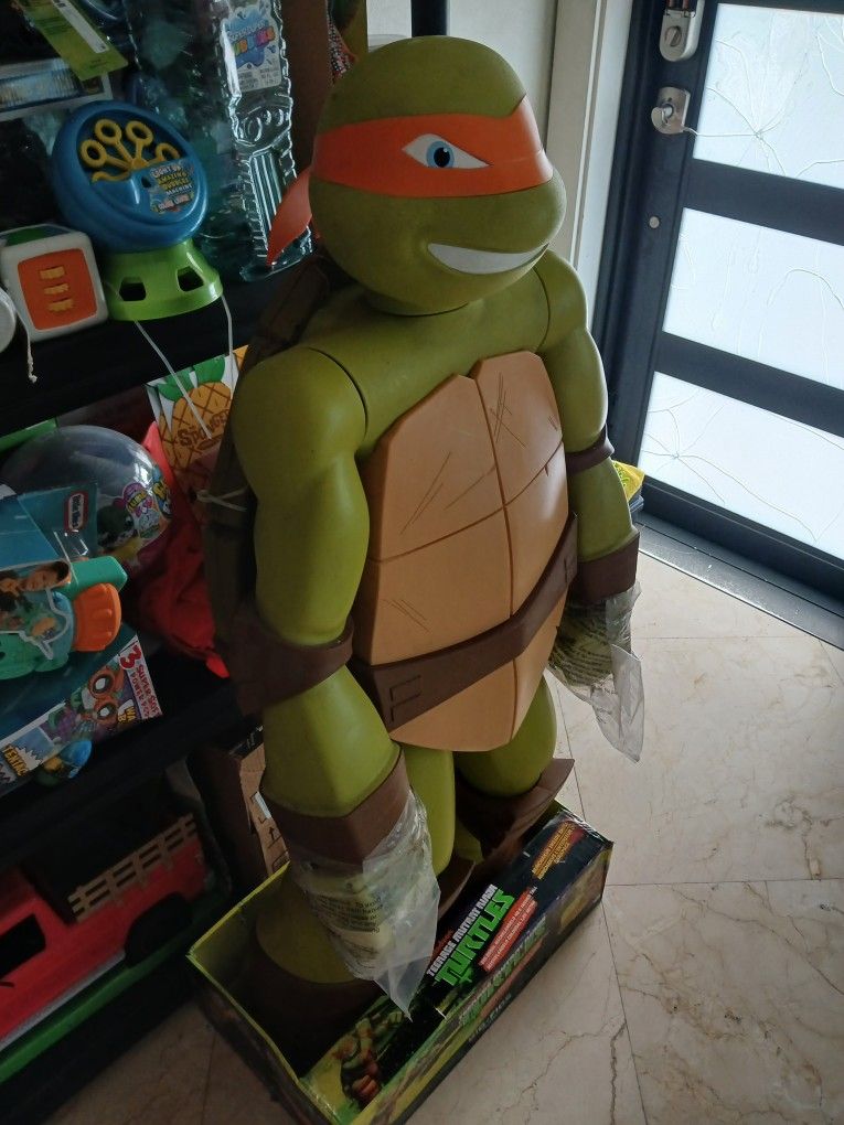 Popular Ninja Turtle
