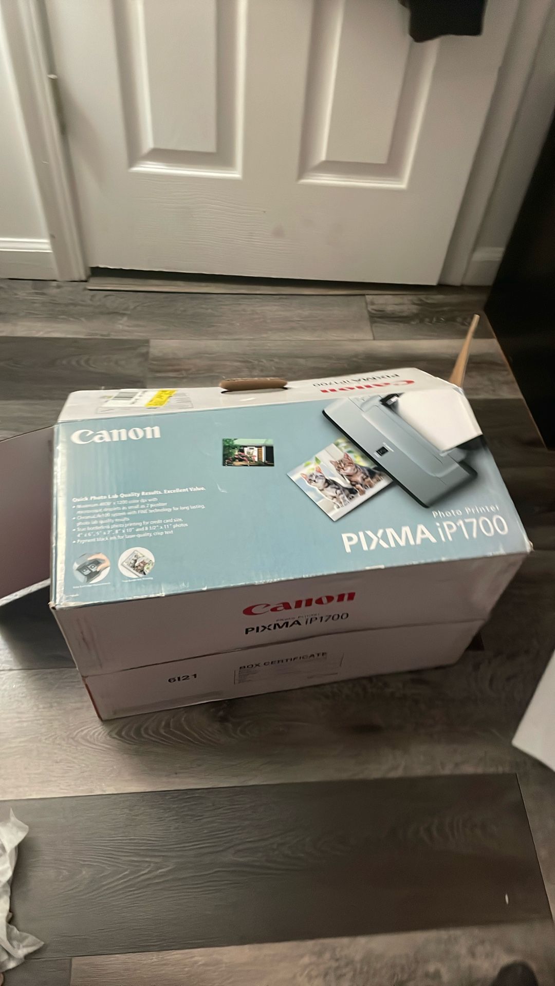Canon pixma IP1700