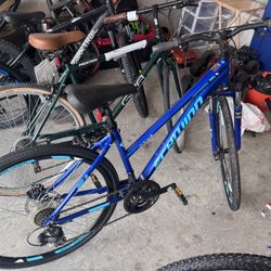 New Schwinn Bikes