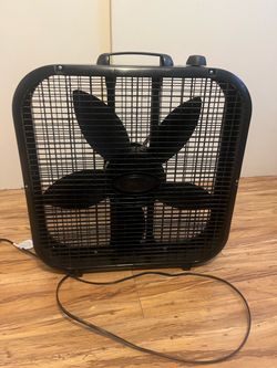 Fan