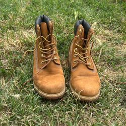 Women's Timberland® Premium 6-Inch Waterproof Boot