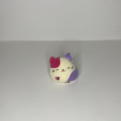 Cat Squishmallow