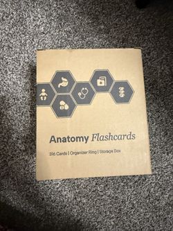 Anatomy flashcards