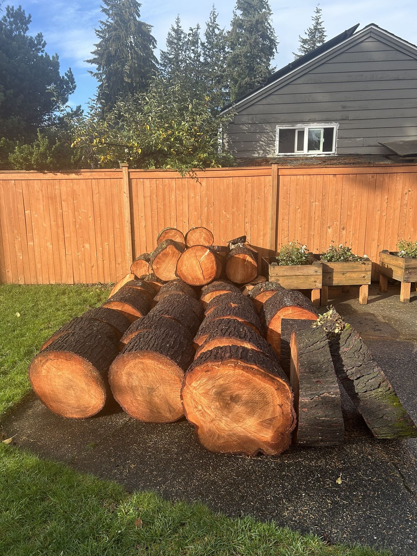 FIREWOOD FOR SALE - HEMLOCK