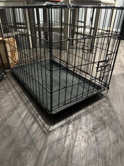 Dog Cage