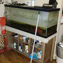 75 Gallon Fish Tank 