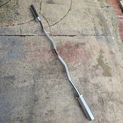 Weight Olympic Curl Bar 