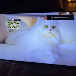 43” Samsung QLED TV