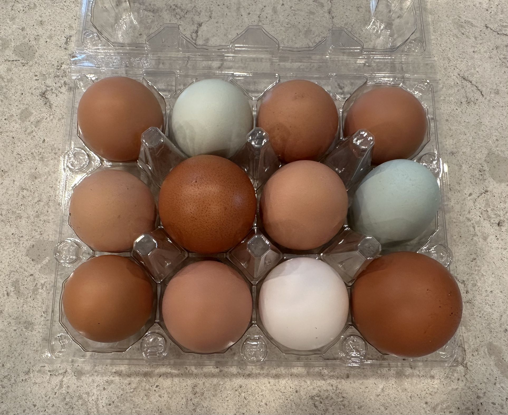 Fresh Organic Eggs