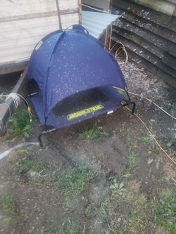 Dog tent