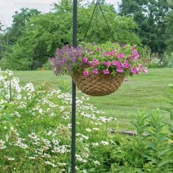 Shepherds Hook 6 Feet Tall 