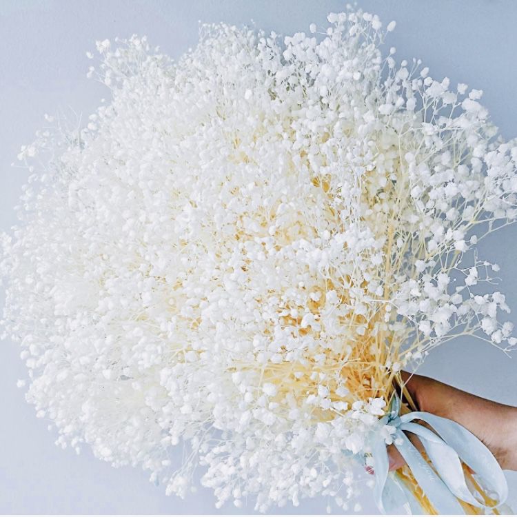 Dried Baby's Breath Flowers Bouquet - 3500+ Pure White Dry Flowers Bulk, 17'' Real 100% Natural Gypsophila Branches for Wedding, DIY Home Party Table 